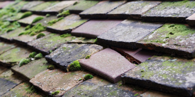Great Paxton roof repair costs